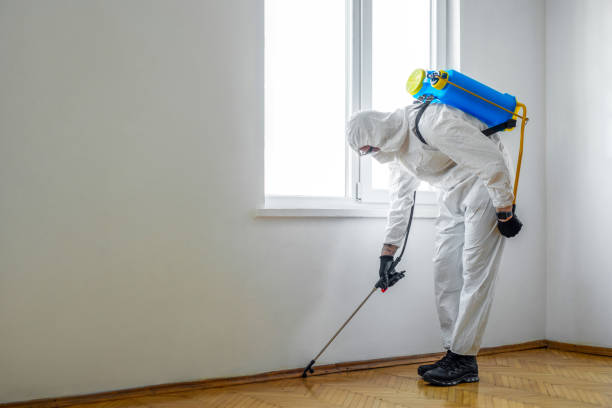 Best Fumigation Services  in Deridder, LA